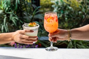 A close up of two people holding cocktails in cheers, exotic plants in the background.