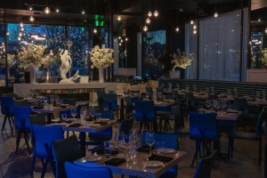 Dining room and bar at Salt Water Social